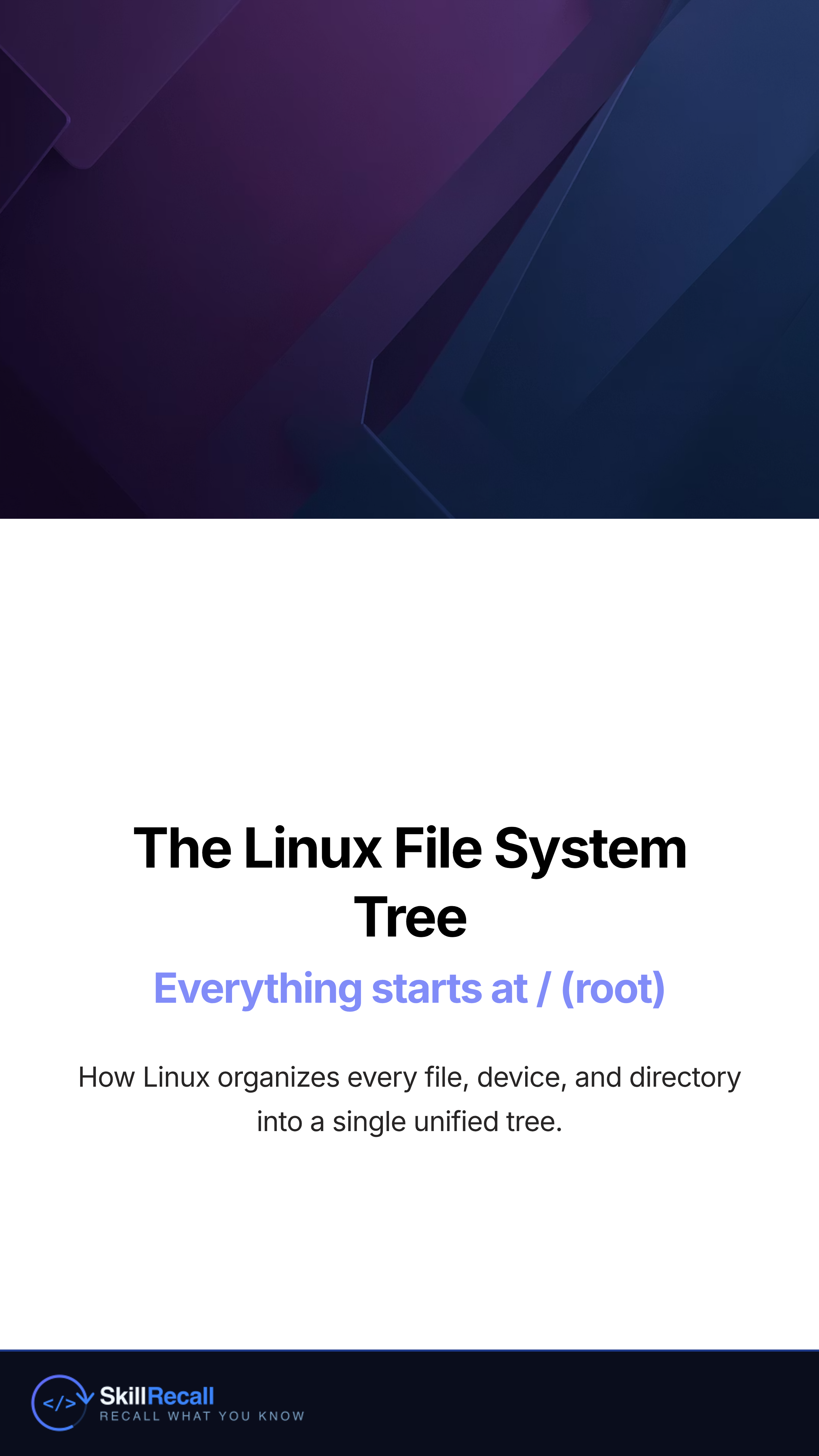 Slide 1